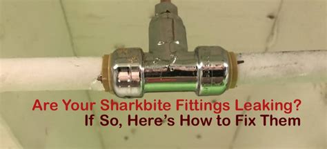 do smartex fittings leak|Sharkbite Fittings